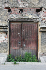 Fototapeta na wymiar old dilapidated door overgrown with grass