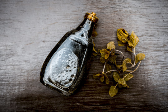 Ayurevedic essence or oil of holy basil or tulsi in a transparent bottle with some fresh bright basil leaves on wooden surface used in many treatments and home remedies related to cough, and fever.