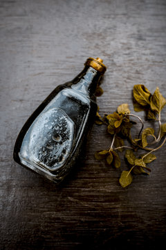 Ayurevedic essence or oil of holy basil or tulsi in a transparent bottle with some fresh bright basil leaves on wooden surface used in many treatments and home remedies related to cough, and fever.