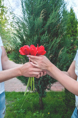 Loving couple holding a bouquet of tulips on a background of beautiful trees. A man gives his beloved flowers. The concept of expressing feelings of love