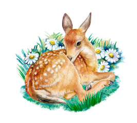 Fawn, deer sitting izolated on a white background. Watercolor. Illustration. Template. Hand drawing. Close-up. Clip art.
