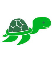 klein junges baby unterwasser schwimmen tauchen meer comic cartoon schildkröte panzer lustig süß niedlich design cool clipart