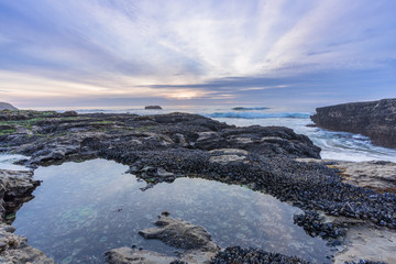 Davenport Beach, Davenport, CA