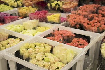many bouquets of beautiful colorful roses in boxes in the warehouse in the store