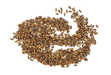 Seeds of a milk thistle on white background, top view. Scotch Thistle.