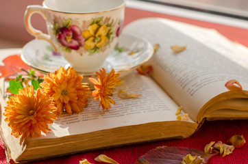 Beautiful background with the book