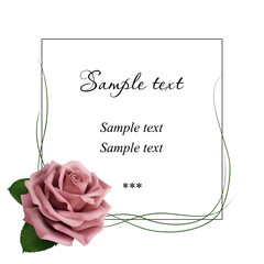 Realistic pink powder rose, card.