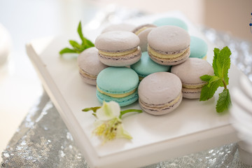 Multicolored macaroons and fresh mint closeup on a platter.