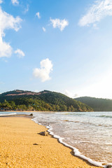 Sandy tropical beach during a sunny day with small waves and jungle forest and the background, Mae Haad Beach, Koh Phangan, Thailand