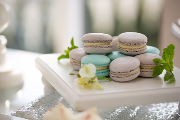 Multicolored macaroons and fresh mint closeup on a platter.