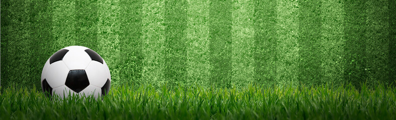 Ball auf dem Fussballplatz