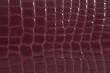 Snake skin texture background