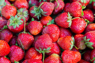 background from freshly harvested strawberries, directly above.