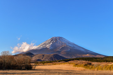 Fototapeta premium 富士山