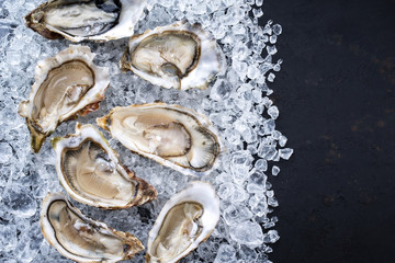 Fresh opened oyster offered as top view on crushed ice with copy space right