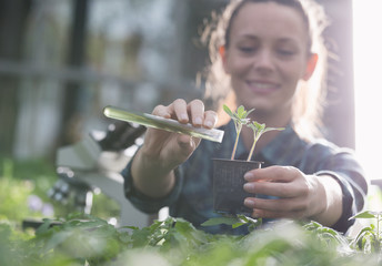 Farmer woman pouring chemicals in seedling - obrazy, fototapety, plakaty