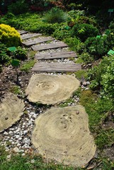 Ścieżka w ogrodzie © bnorbert3