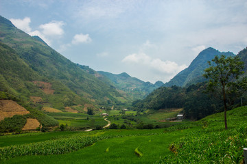 Fototapeta na wymiar Incredible view of rice fields and green mountains in Vietnam