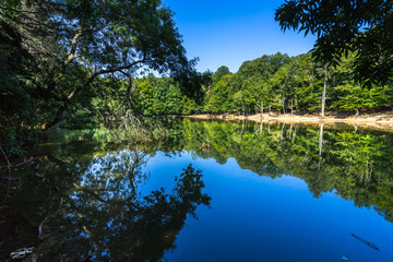 A picturesque small lake in Umbra Forest, a natural reserve part of Gargano National Park and UNESCO World Heritage Site, Apulia, Italy