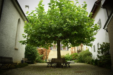 Fototapete bei efototapeten.de bestellen   