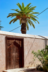 Wall and door next to a palm tree in the middle of the sun in the gardens of Menara. Photograph taken in Marrakech (Morocco)