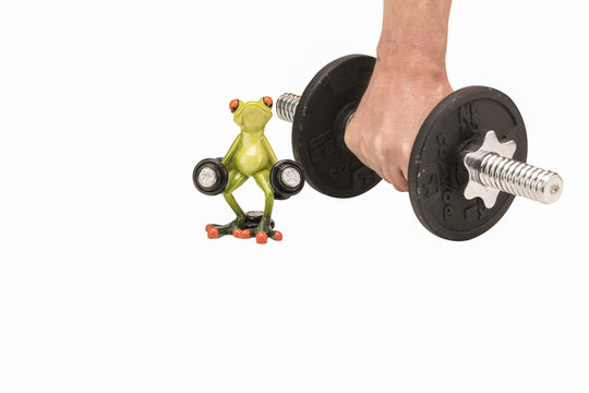 Sport und Fitnessfrosch und Hand mit  Hantel