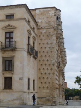 Palacio del infantado de Guadalajara, ciudad de España en  Castilla la Mancha