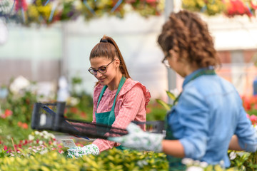 Young women working in beautiful colorful flower garden. Woman entrepreneur.