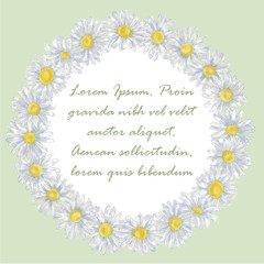 Daisy Round Wreath on Green Background with Text Copy Space Isolated on White. Chamomile Round Frame for Announcements, Advertising, Invitations, Cards, and Promotional Materials. Romantic Frame.
