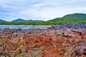 Beach red reef lovely with green on beach