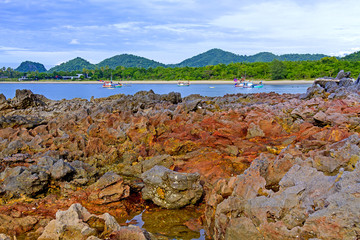 Beach and red reef nature on  beach