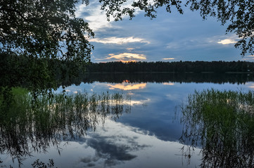 Sunset on the lake in evening twilght. Reeds on the coast. Summer rural landscape.