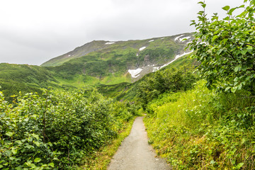 Hiking Mount Roberts Above Juneau, Alaska