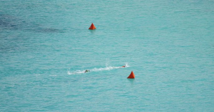 swimmers racing towards shore in the tropics, st john, virgin islands 