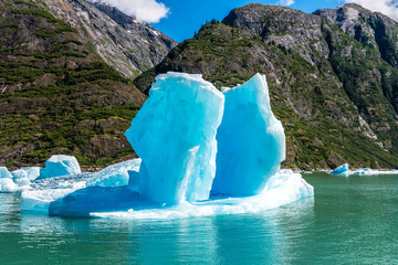 Iceberg Wings in Alaska's Tracy Arm Fjord