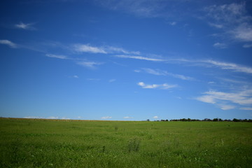 green fields, light blue sky