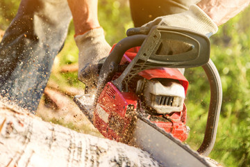 A man sawing up a log with a red chainsaw on a hot summer day, sawdust flying