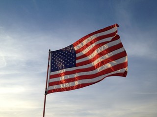 Obraz premium US-Flag-004