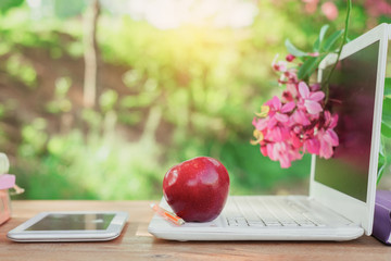 Concept of education. A red apple and pencil sitting on laptop keyboard with school books with natural background.