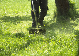 Obraz premium The man mowing green wild grass field using brush cutter mower or power tool string lawn trimmer. To mow a grass with the trimmer. Trimer mows a lawn. Care of a lawn.