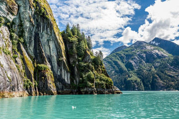 Steep Cliffside Along the Tracy Arm Fjord in Alaska