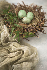 Bird's Nest with Speckled Eggs with Green Vine and Green Cloth on Textured Neutral Background