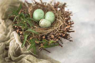 Bird's Nest with Speckled Eggs with Green Vine and Green Cloth on Textured Neutral Background
