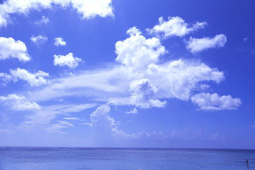 Obraz premium グアム ビーチ 観光