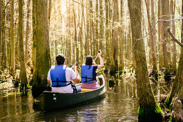 Canoeing through the swamp