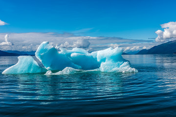 Iceberg in an Alaskan Fjord