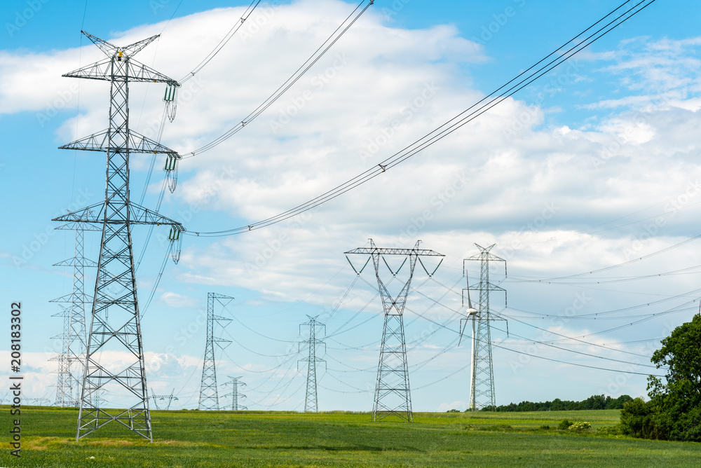 Wall mural powerline on the field