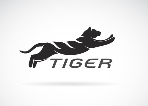 Vector of black tiger design on white background. Wild Animals. Easy editable layered vector illustration.