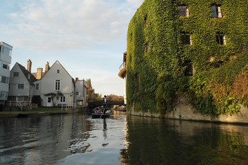 Fototapeta premium canals in the old university town of Cambridge (UK); thick ivy twined around the houses