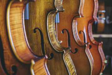 複数のバイオリン